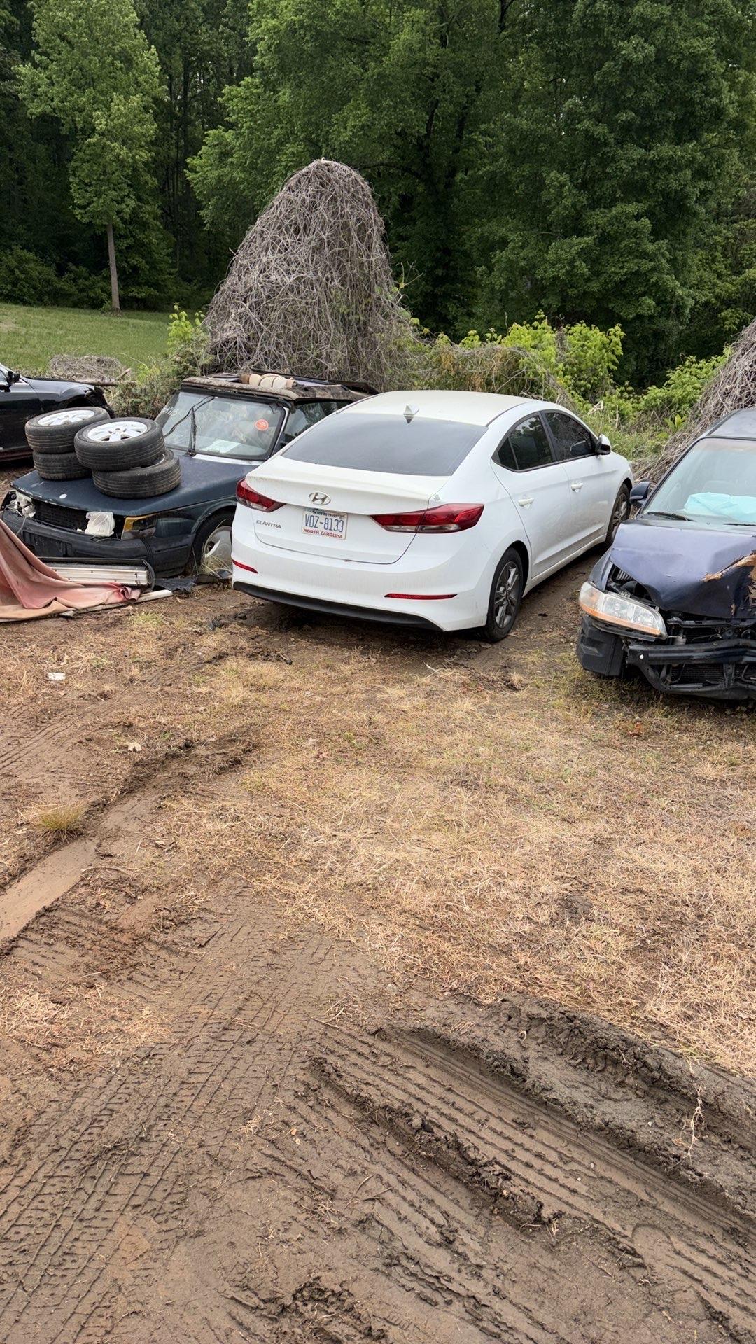 2017 Hyundai ELANTRA (White) - LT-265